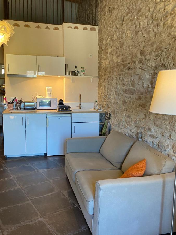 Apartament 13 Quai Jean Jaures LʼIsle-sur-la-Sorgue Zewnętrze zdjęcie